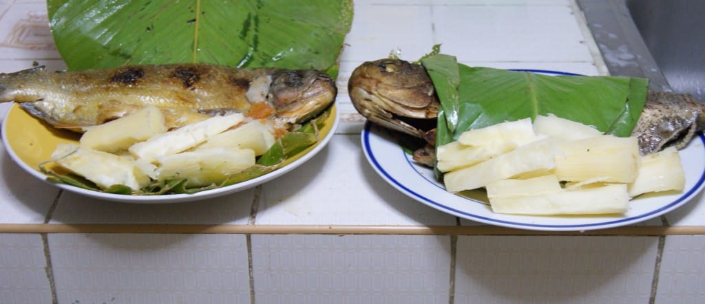 DSC09550