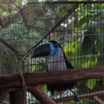 IMG_3031